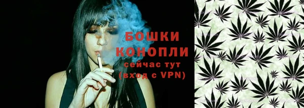 соль ск Сосновый Бор