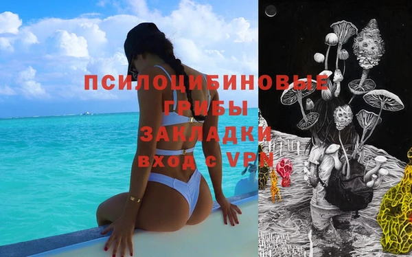 соль ск Сосновый Бор