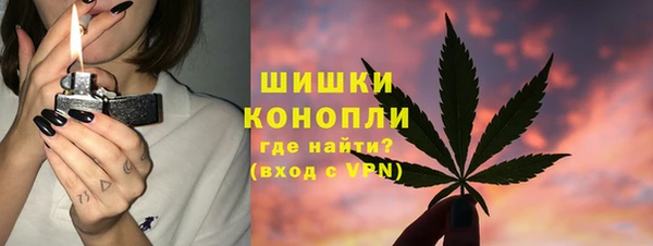 соль ск Сосновый Бор