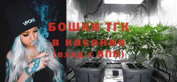 соль ск Сосновый Бор