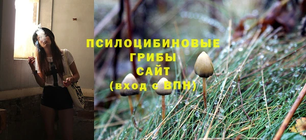 apvp Сосновка