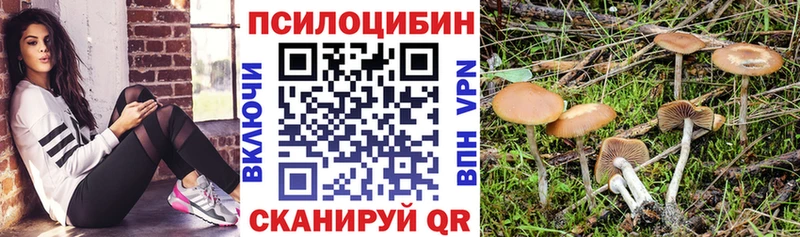 Псилоцибиновые грибы Cubensis  наркошоп  Таруса 
